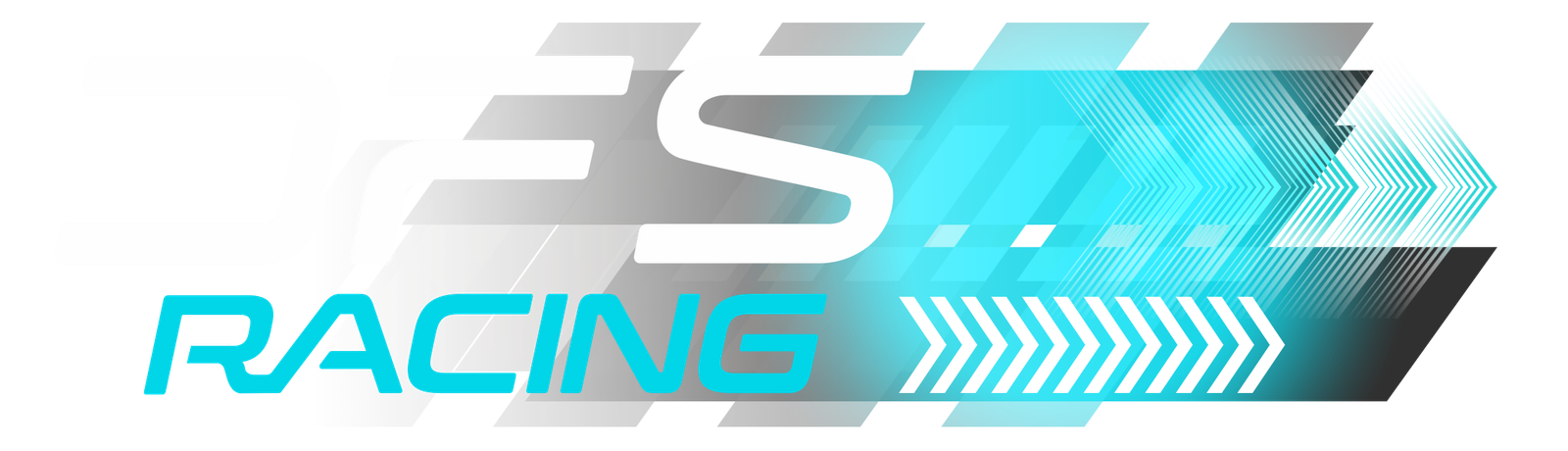 DFS Racing Team
